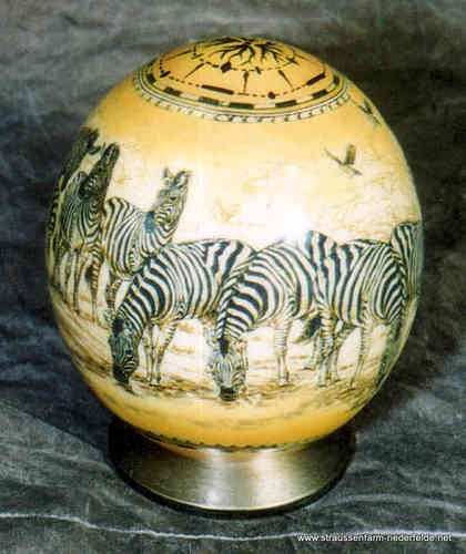 Straußenei Decoupage Zebras